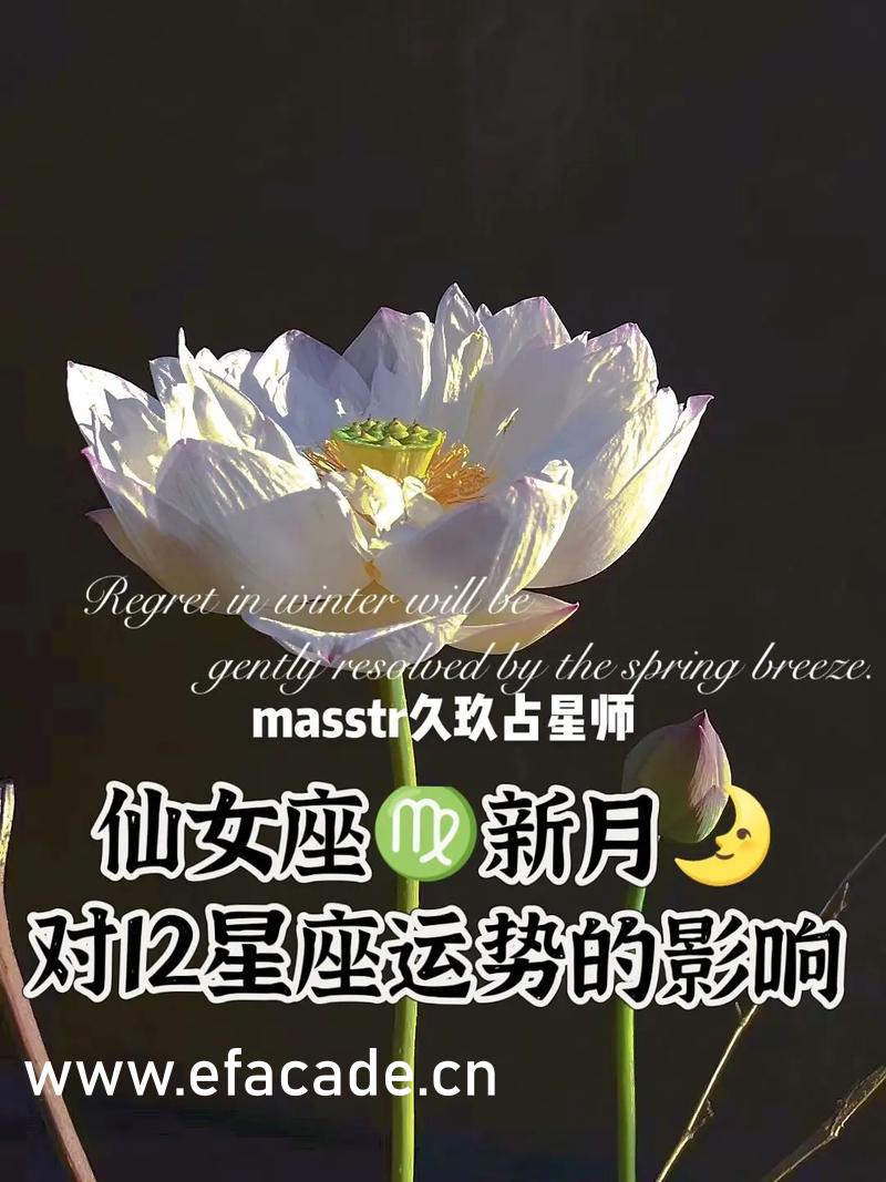 把宁荣荣当生育工具的动漫叫什么情动瞬间私密盛宴